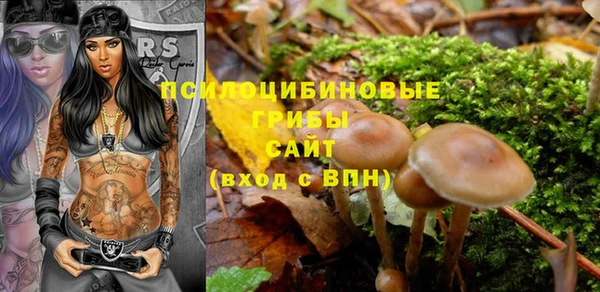 Альфа ПВП Алзамай