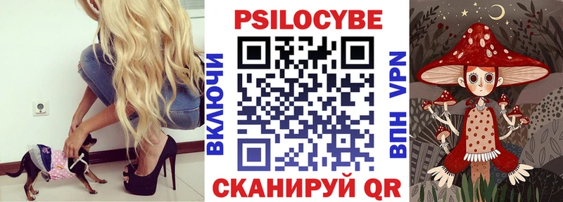 Псилоцибиновые грибы Psilocybe  где можно купить наркотик  Николаевск-на-Амуре 